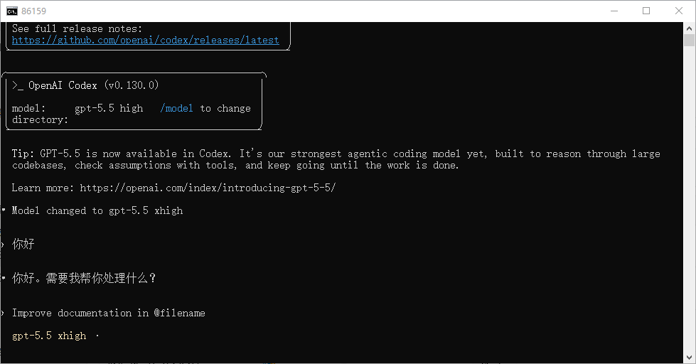 Codex CLI 测试对话