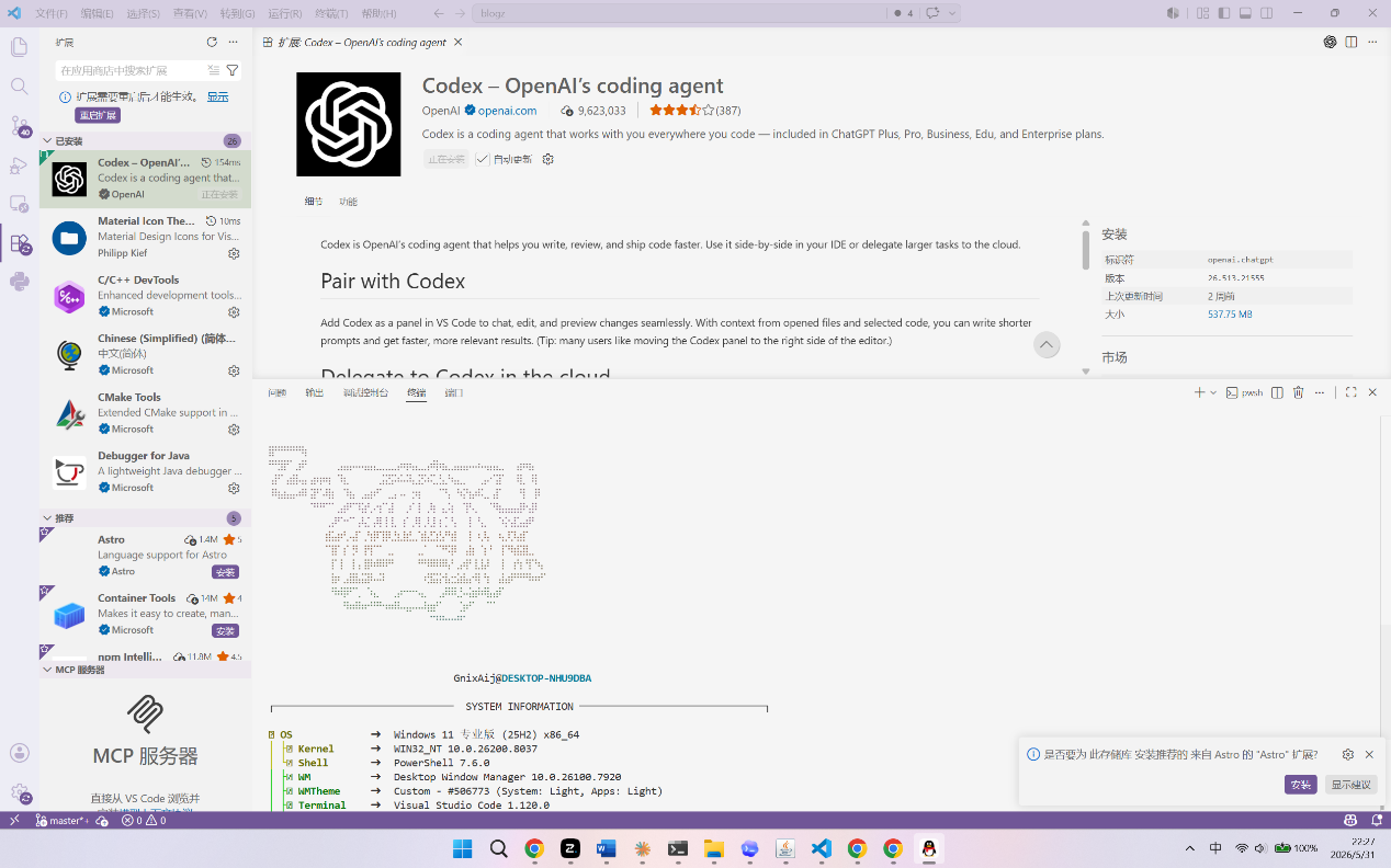 安装 Codex 插件